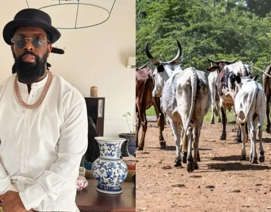 Singer Timaya Urges Government to Address Bayelsa Farmland Destruction