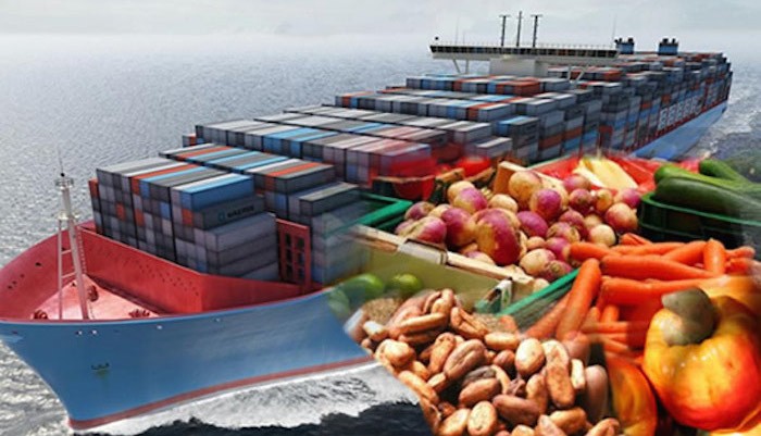 Nigeria’s Non-Oil Exports Reach $1.7bn, Highest First-Quarter Total in Nearly Half a Century, Says Presidency