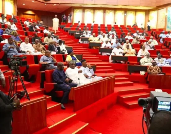 Senate Moves to Convene National Security Summit Amid Rising Insecurity