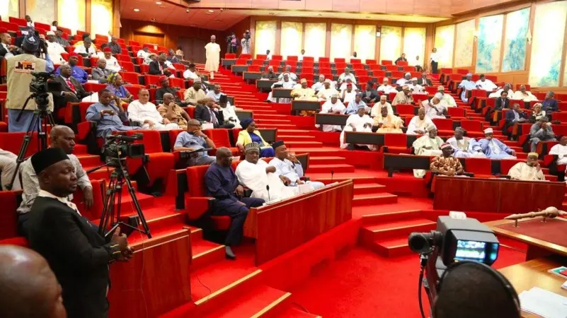 Senate Moves to Convene National Security Summit Amid Rising Insecurity