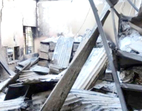 25 Killed in Bauchi as Bandits Clash With Vigilantes