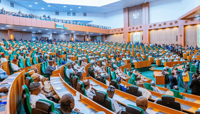House of Representatives advances bill for Local Government Electoral Commission