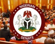 Senate Backs Direct LG Representation in FAAC Amid Supreme Court Ruling