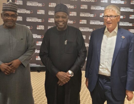 Gates Foundation Hosts Health Summit in Lagos, Urges Local Solutions