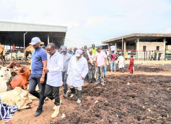 Lagos Man Arrested for Turning Home into Illegal Slaughterhouse