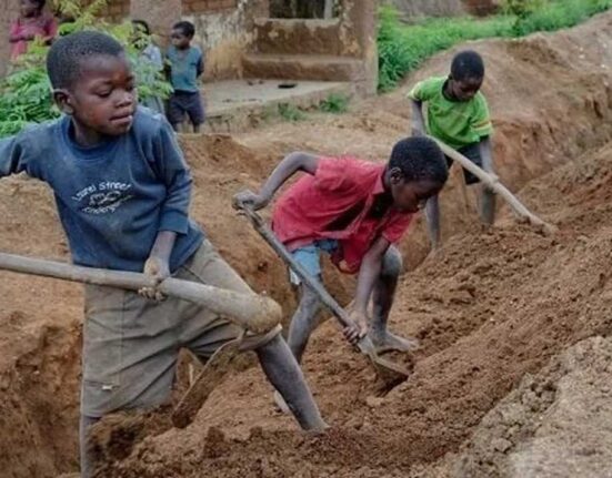 NECA Urges Stronger Action Ahead of World Day Against Child Labour