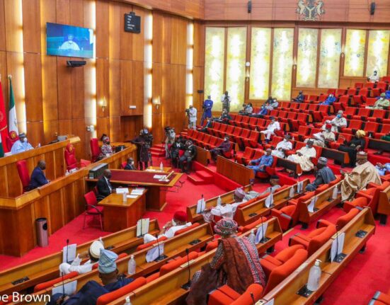 Senate Raises Customs 2025 Revenue Target to ₦10 Trillion