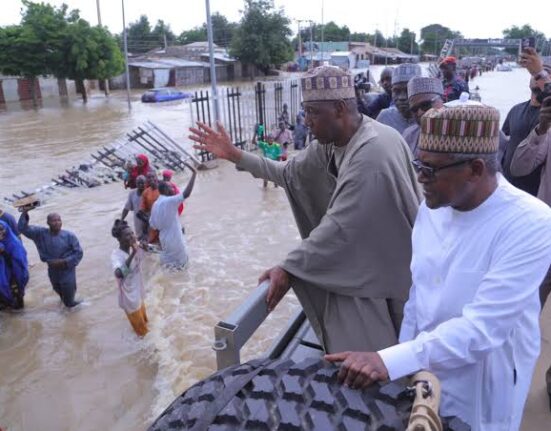 Dangote Pledges Climate Fund to Aid Flood-Hit Nigerian Communities