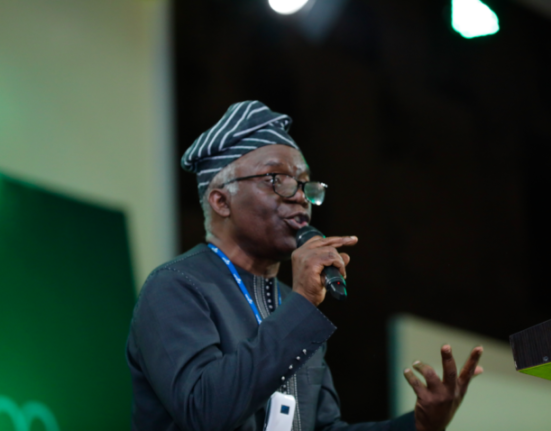 Street Renamings in Lagos Unconstitutional and Authoritarian, Says Femi Falana