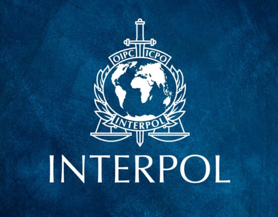 Nigeria Deports Chinese Fugitive Wanted for Multi-Million Yuan Tax Fraud