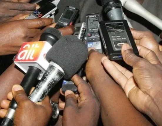 International Press Centre raises alarm over clampdown on Nigerian journalists