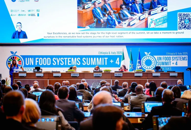 Nigeria, Africa and UN Push for United Action on Food Insecurity