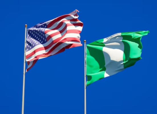 Nigerian Governors Engage in Lavish Spending Despite Economic Hardship says Africa Report