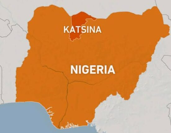 Labour Party Blames Government Over Katsina Massacre