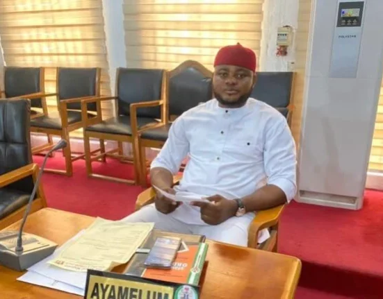 Labour Party lawmakers reject suspension of Anambra assembly member
