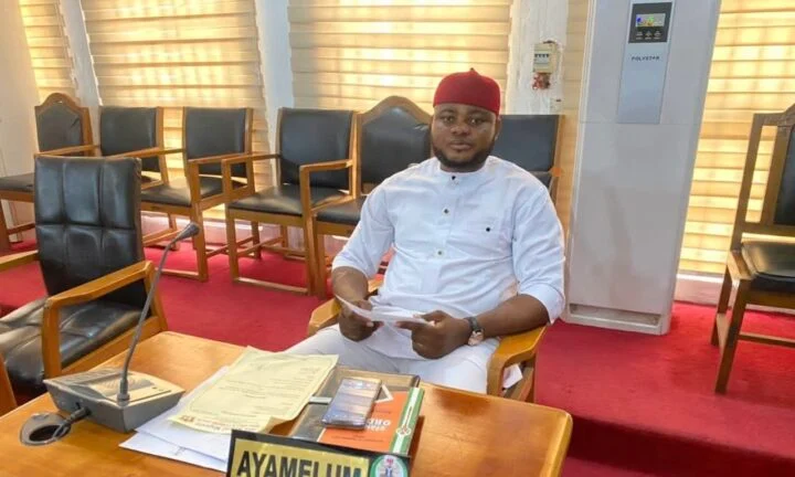 Labour Party lawmakers reject suspension of Anambra assembly member