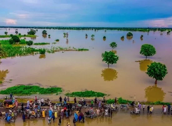 NEC Calls for Stronger Flood Response Agencies Across States