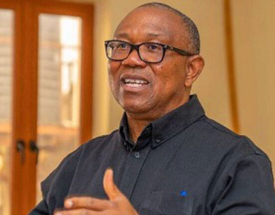 Peter Obi’s one-term pledge gaining northern support says Former IPAC chair 