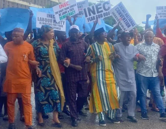 Labour Party Distances Self from Protest by Abure Group at INEC Headquarters