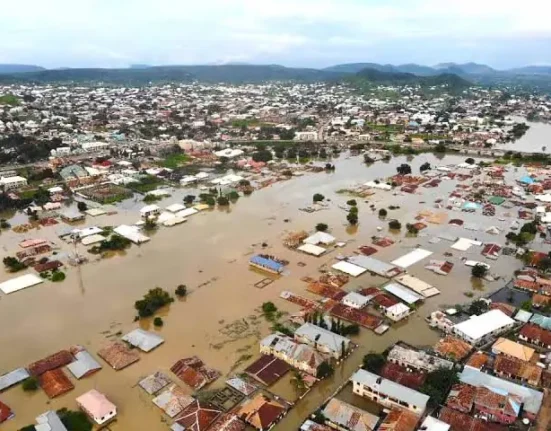 Severe Flooding Ravages Niger State Farmlands, Triggers Food Security Fears