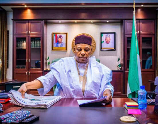 Vice President Shettima Urges African Solutions to Security Threats