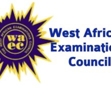 WAEC Releases 2025 WASSCE Results, Records 33.8% Drop in Performance