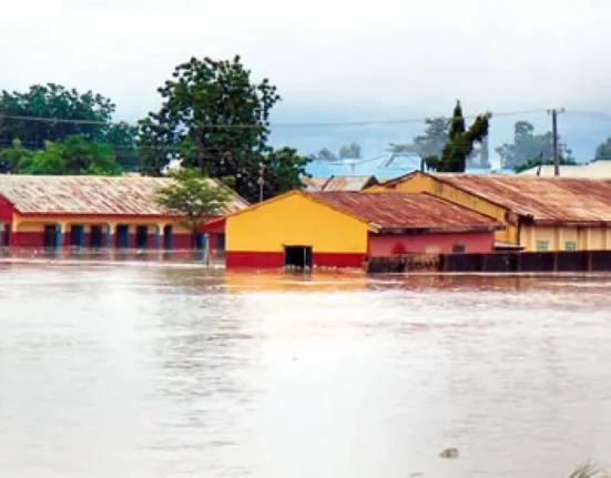 Three Killed and Thousands Affected by Flash Floods in Adamawa