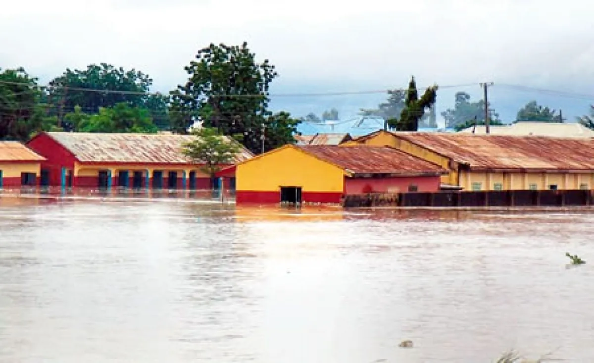 Three Killed and Thousands Affected by Flash Floods in Adamawa