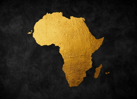 Nigeria Calls for Regional Unity to Tackle Africa’s Energy Dependence