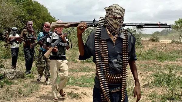 Bandits Abduct Over 50 in Zamfara Attacks on Mosque and Villages