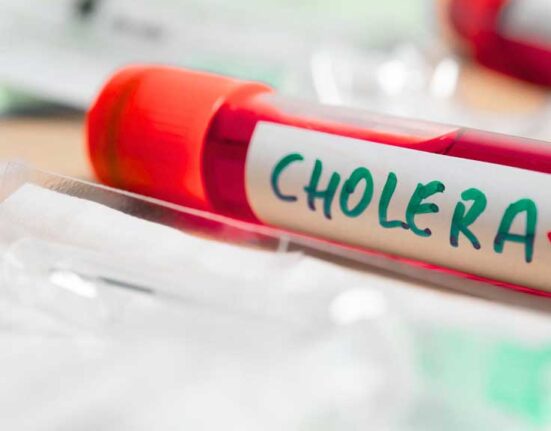 Cholera kills 58 in Bauchi as state records 258 new cases