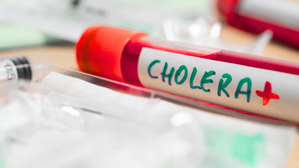 Cholera kills 58 in Bauchi as state records 258 new cases
