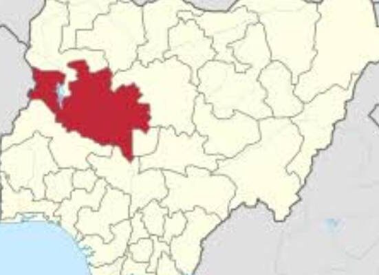 Diphtheria Outbreak Claims Lives of Children in Niger State