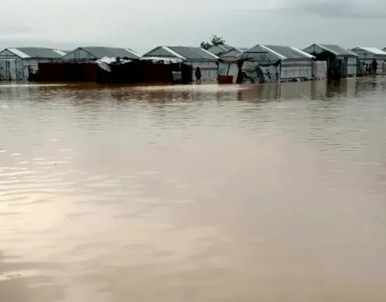 Flooding Submerges Ogbaru Communities as River Niger Overflows