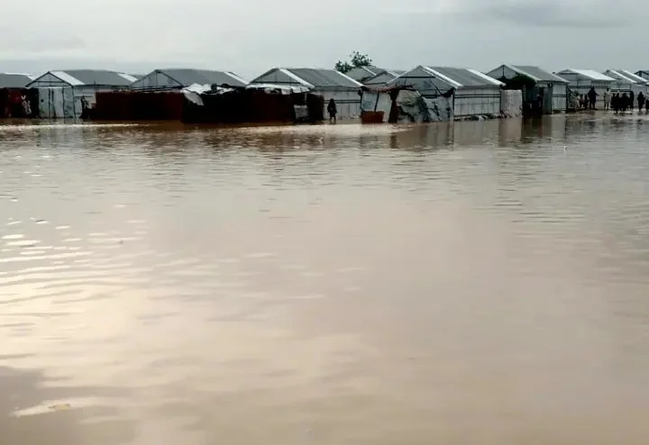 Flooding Submerges Ogbaru Communities as River Niger Overflows