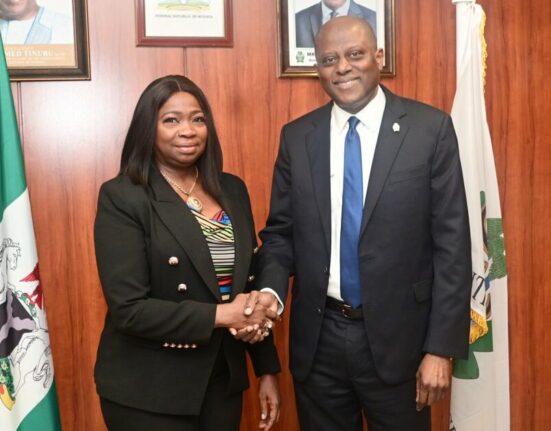 FG, NiDCOM Hail Reforms as Remittances Surge to $600m Monthly