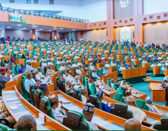 Reps Consider Bill to Establish Lithium Development Commission