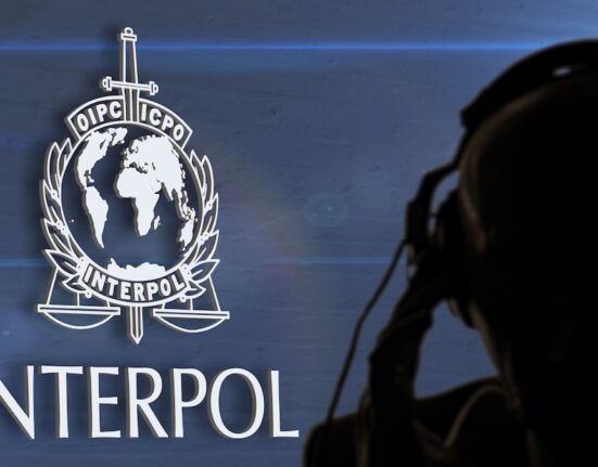 Interpol arrests 260 suspects in Africa-wide cybercrime crackdown