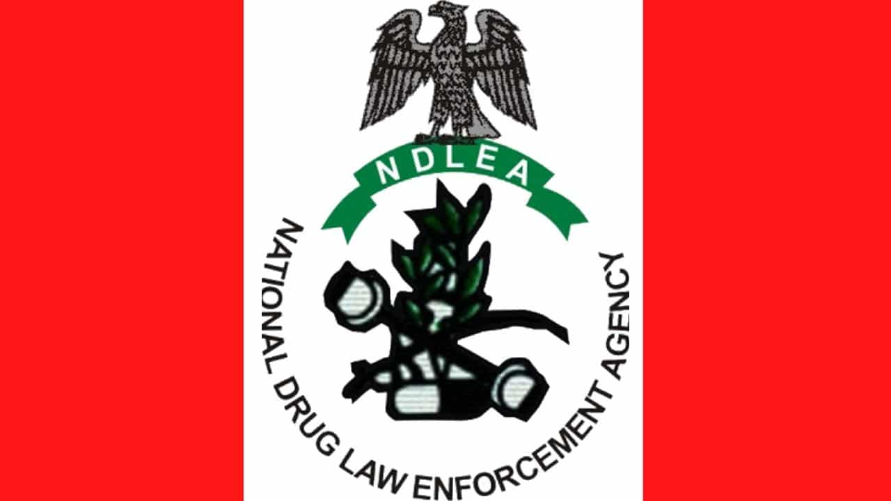 NDLEA raises alarm over drug abuse among Nigerian youths