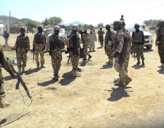 Nigerian Troops Kill ISWAP Commanders in Lake Chad Ambush