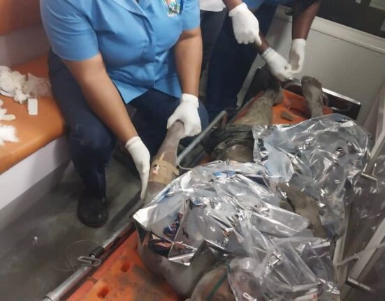 Six people rescued after Lagos building collapse