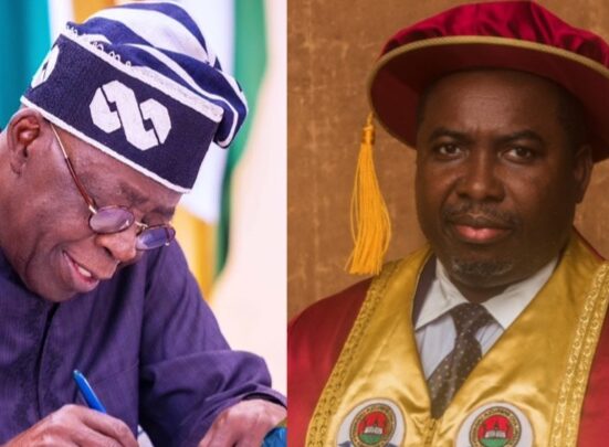 Council of State Approves Amupitan as New INEC Chairman