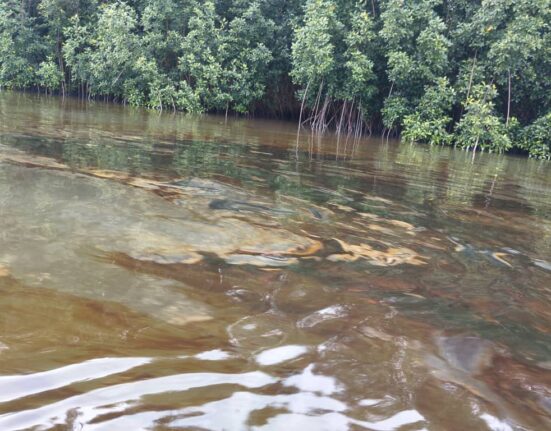 Fresh Oil Spill Reported in Bayelsa’s Nembe Communities