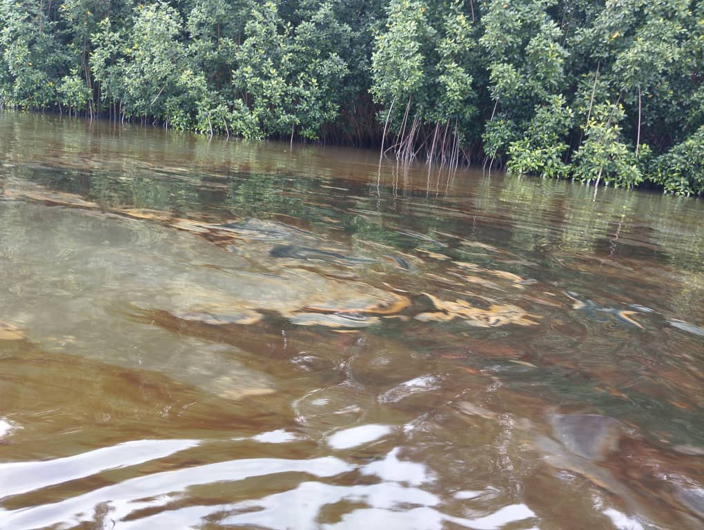 Fresh Oil Spill Reported in Bayelsa’s Nembe Communities
