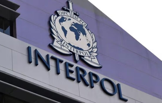 Interpol Arrests 11 Terror Suspects in Nigeria in Global Counter-Terror Operation 