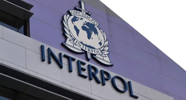 Interpol Arrests 11 Terror Suspects in Nigeria in Global Counter-Terror Operation 