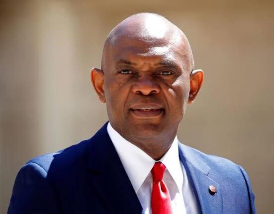 Lead Africa’s Economic Growth, Tony Elumelu Urges Private Sector