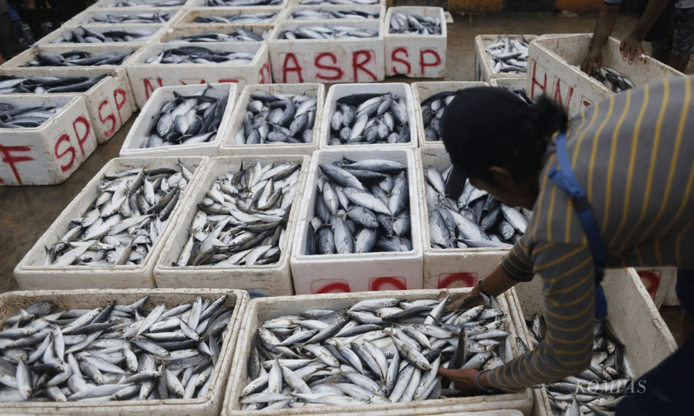 Marine Ministry Targets Food Security with National Fish Production Roadmap