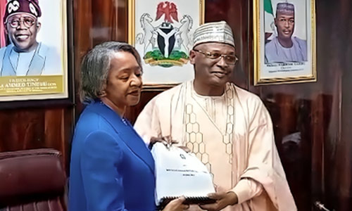 INEC Gets Acting Chairman as Yakubu Steps Aside