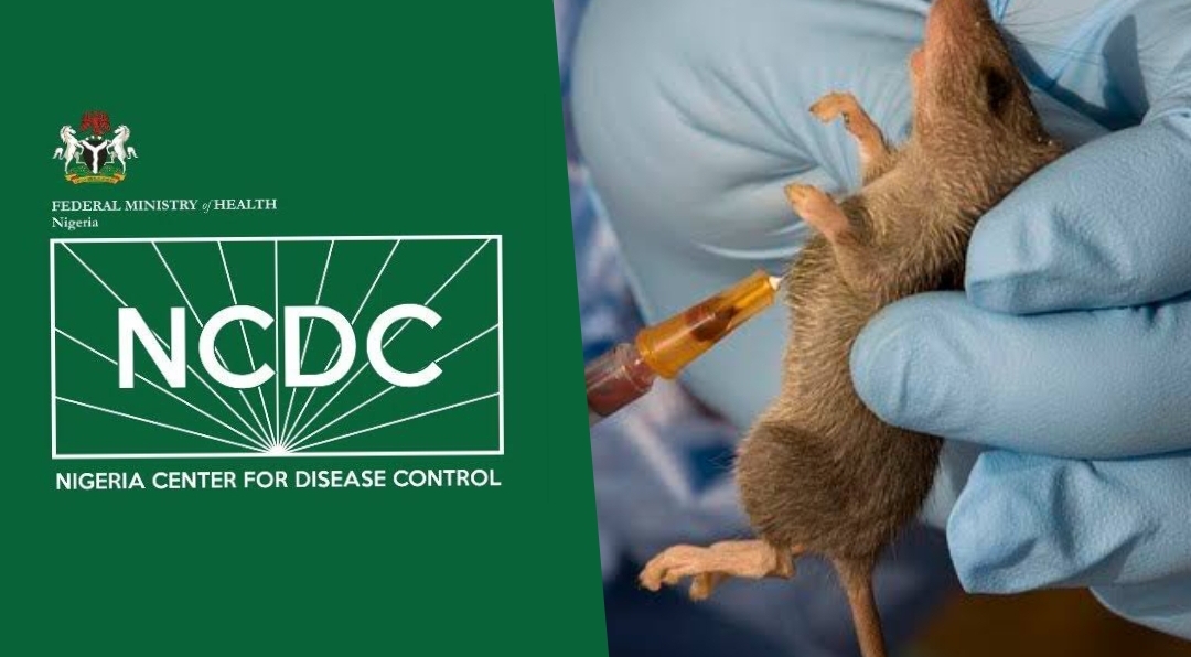 Nigeria Records 924 Lassa Fever Cases, 172 Deaths Across 21 States 